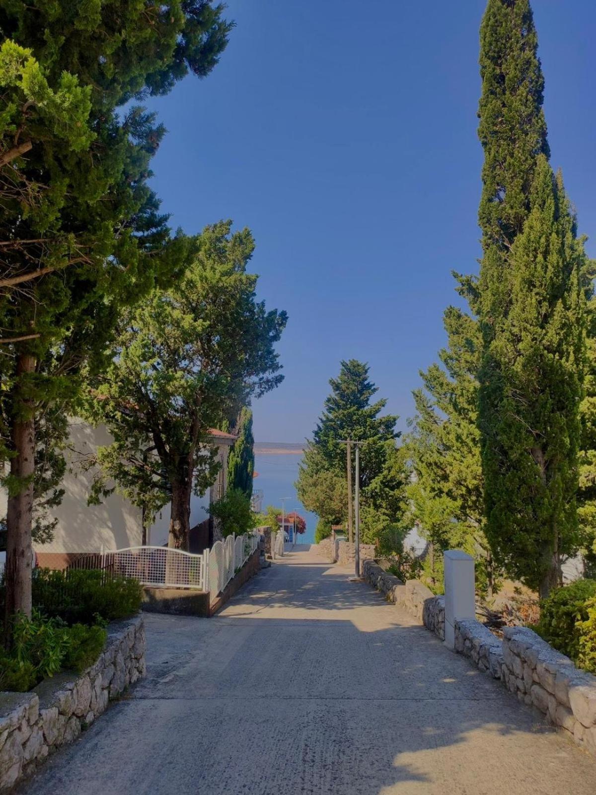 Modern Seaview House Fiore Hébergement de vacances Starigrad Paklenica